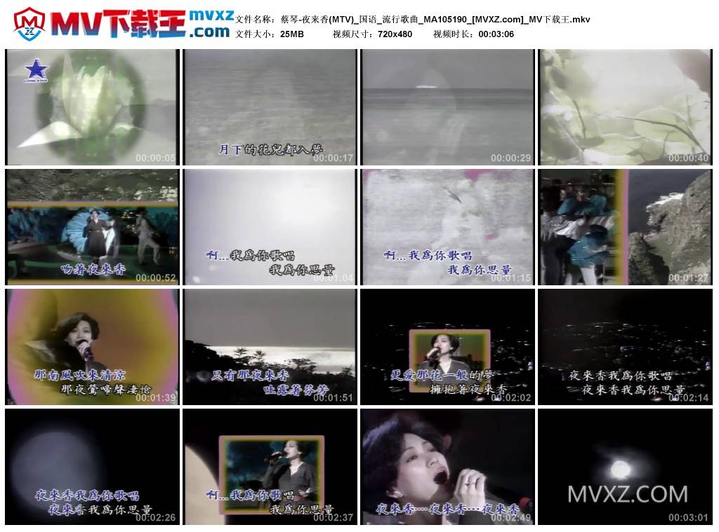蔡琴-夜来香(MTV)_国语_流行歌曲_MA105190
